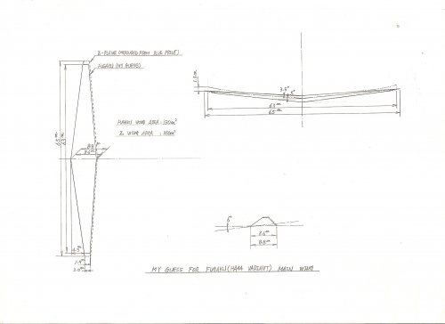 FUGAKU WING SHAPE.jpg