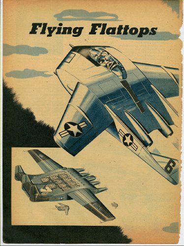 Burnelli Flying Flattops 1.jpg