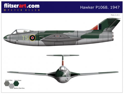 RAF_Mini_3_10_PLATE_2.jpg