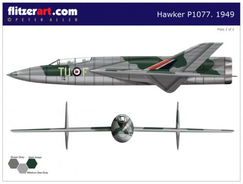 RAF_Mini_3_12_PLATE_2.jpg