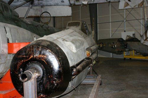 BV-155.JPG
