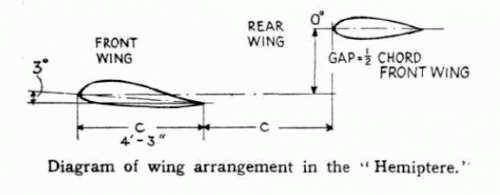 hemiptere wing arrangement.gif