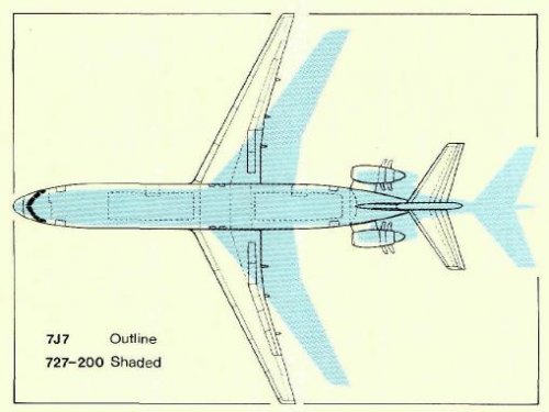 7J7dorsal.jpg