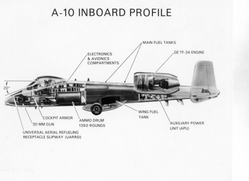 republic360A-10cross-section.jpg