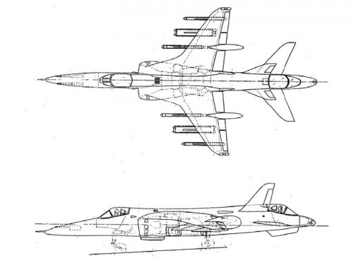 Harriers2.jpg