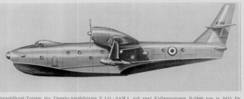 Piaggio_P-155_SAM1_01.jpg