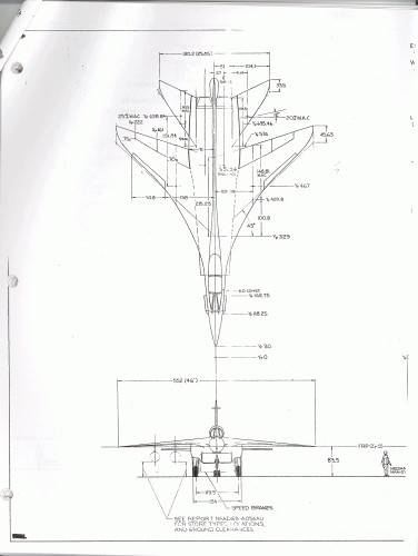 NAA entry-1 copy.gif