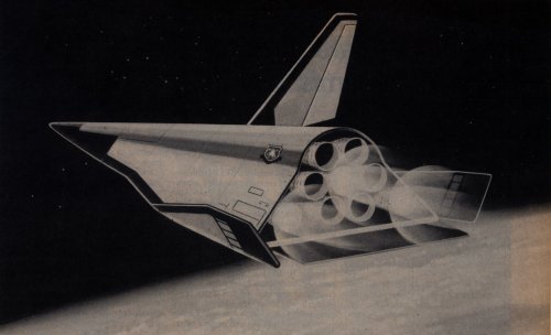 ASLV.jpg