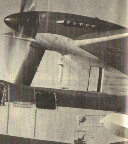 Seagull_II_006.jpg