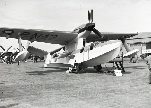 Seagull_II_003.jpg