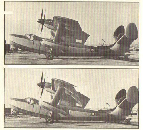 Seagull_2.jpg