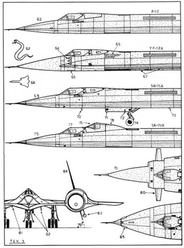 YF-12A_w_canard.jpg