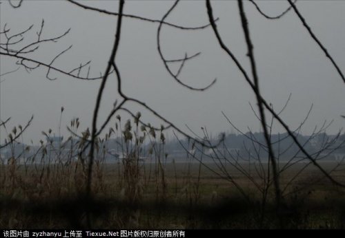 J-20 3.1.11 - rotation 2.jpg