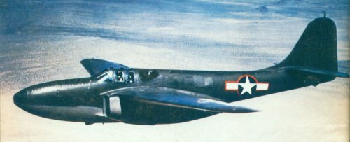 P-59 color-2.jpg