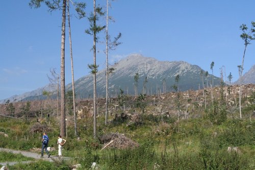 IMG_9724.JPG