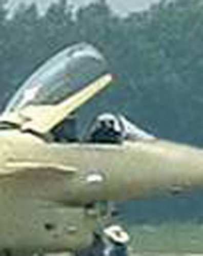 J-10yellowcloseup.jpg