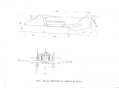 MB341_canard_1.jpg