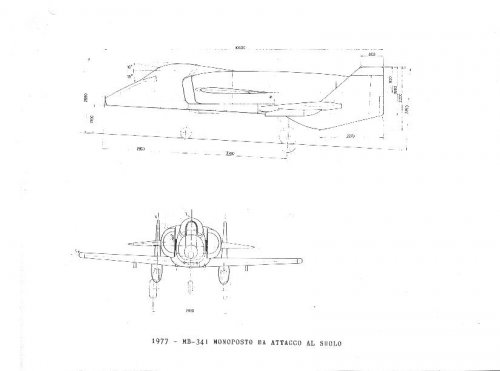 MB341_canard_1.jpg