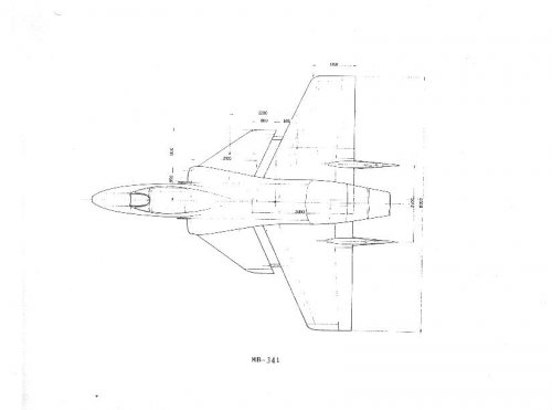 MB341_canard_2.jpg