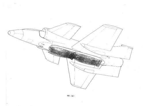 MB341_canard_3.jpg