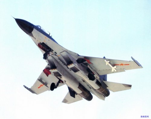 J-11B best  + PL-8.jpg