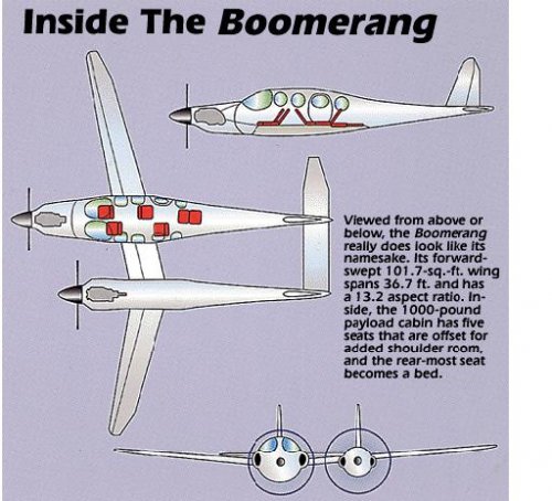 Boomerang.JPG