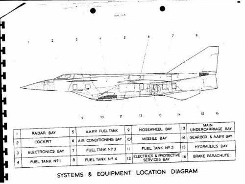 strange fighter - 5.jpg