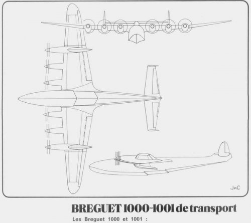 Br-1000.JPG