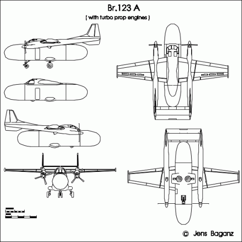 Br-123A_tp.GIF