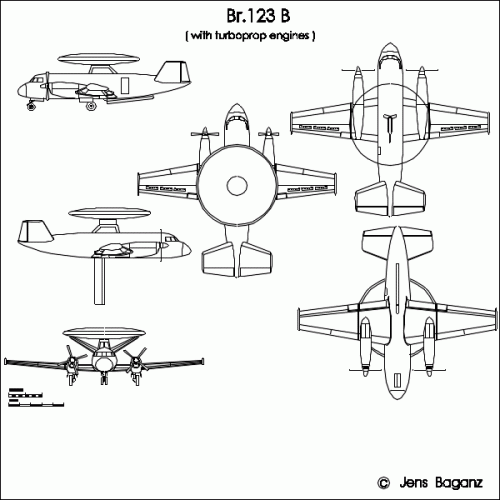 Br-123B_tp.GIF