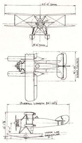 Hawker Hedgehog amphibian-.jpg