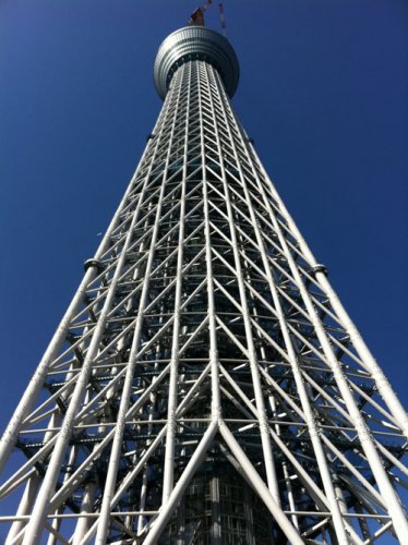 SKY TREE 5.jpg