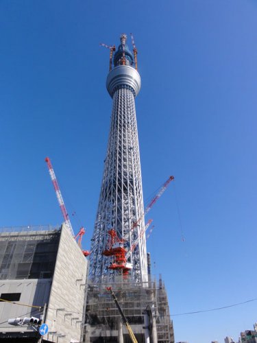 SKY TREE 6.jpg