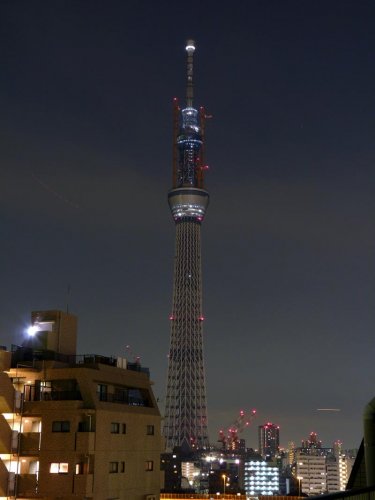 SKY TREE 7.jpg