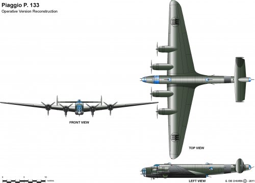 Last italian bombers part 2 - Piaggio P. 133 | Secret Projects Forum