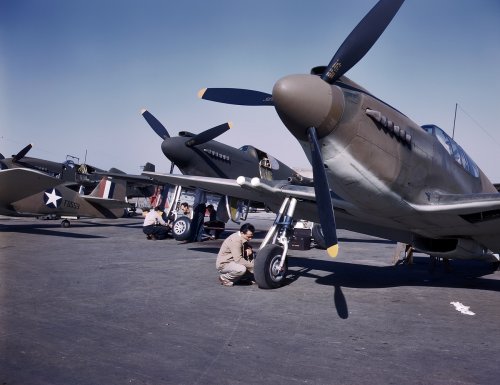 P 40.jpg