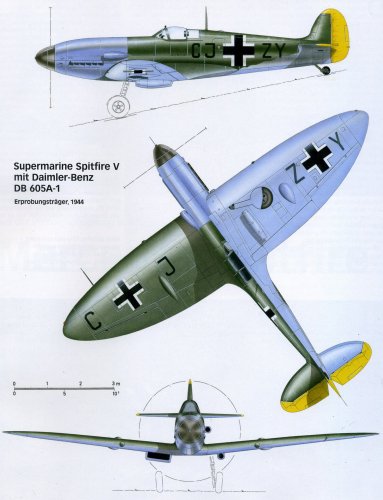 Spitfire V-.jpg