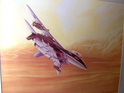 eBay - McCormack - NAR F-15 - Air-To-Ground Mission 1.JPG