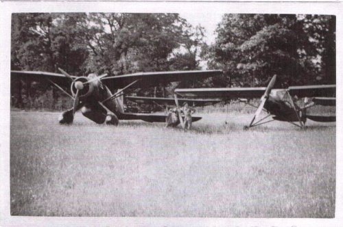 lysander - maquis - storch.jpg