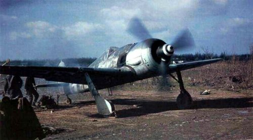 fw190color3zj.jpg