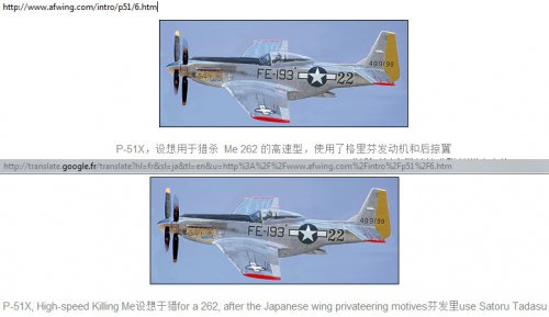 _p-51X.JPG