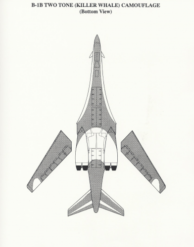 B-1B_TT_03.png