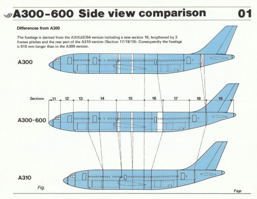 Airbus A300B, A300-600 & A310 fuselage.......jpg