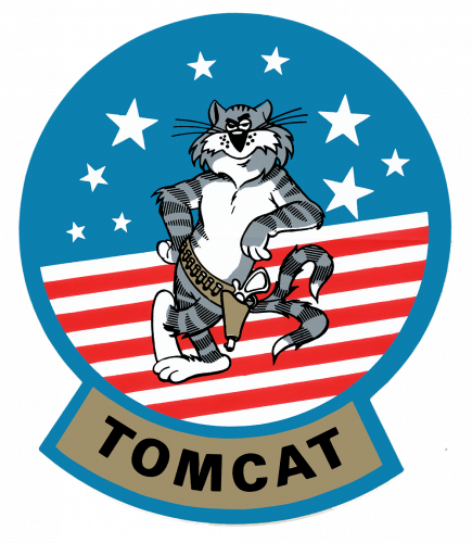 F-14_Tomcat_Decal.png
