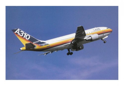 A310-221 - F-WZLI - Airbus House livery.......jpg