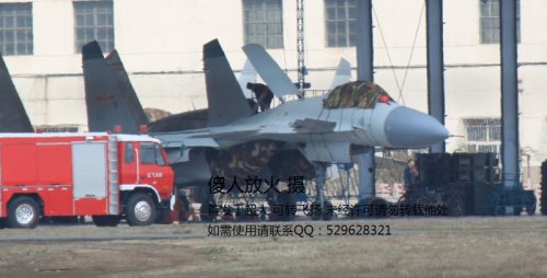 J-15 at SAC in grey finally - clear 1.jpg