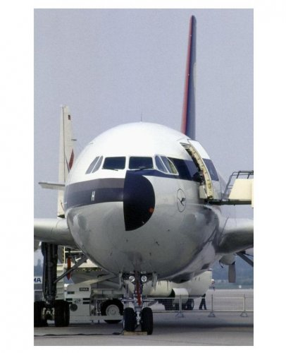 A310-221 - F-WZLH - nose-view.......jpg