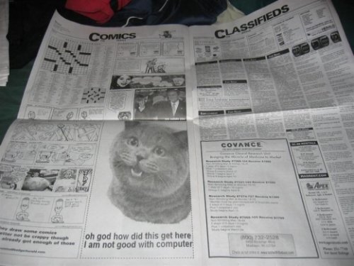 LolcatInNewspaper001.jpg