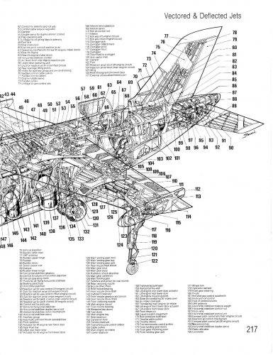 VAK 191 B CUTAWAY 2 .JPG