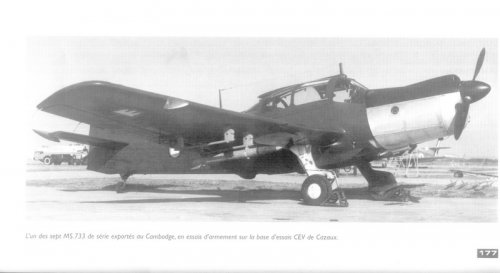 MS-733_cambo_1.jpg